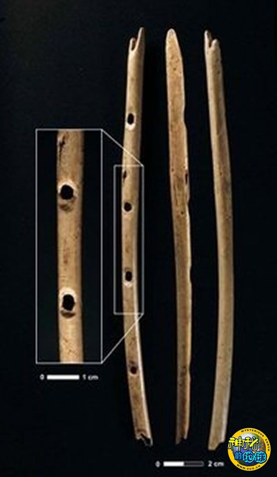 德国发现3.5万年前骨笛