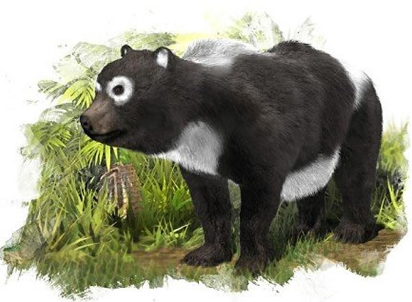 大熊猫可能最早起源于欧洲大陆 - 神秘的地球 科学|自然|地理|探索