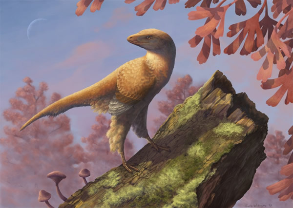 A restoration of the feathered dinosaur Eosinopteryx.