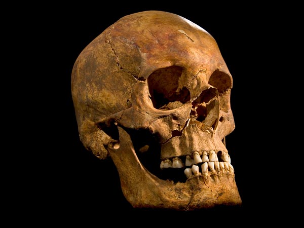 The skull of the skeleton found under a parking lot in Leicester, England, that