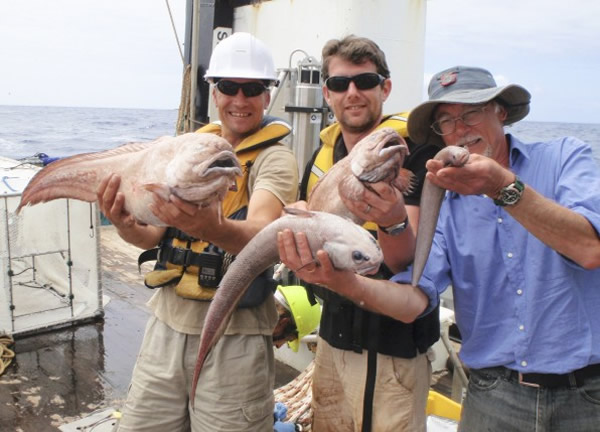 Steve Bailey (left), Alan Jamieson, and Andrew Stewart hold some of the deep-sea