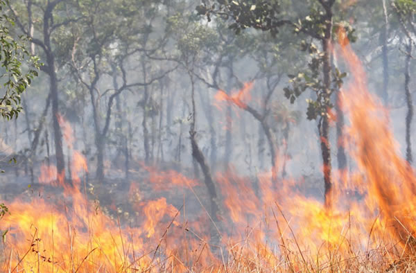 A bushfire in Australia.