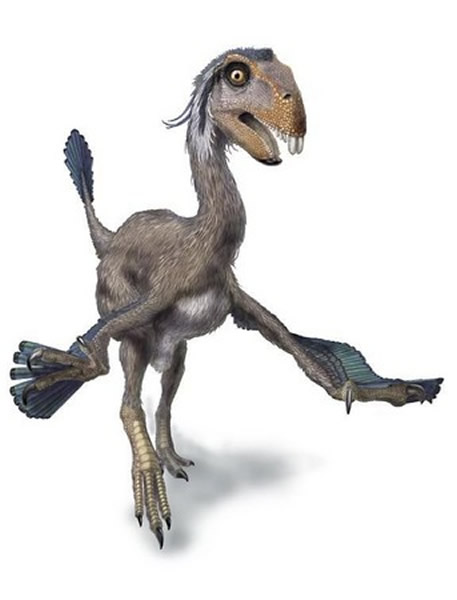 切齿龙(incisivosaurus)