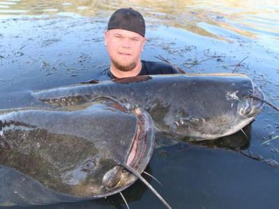 英国垂钓者在西班牙埃布罗河捕获世界最大白化鲶鱼
