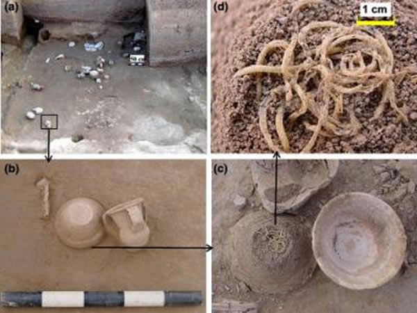 破解青海喇家遗址4000年前面条的成分与制法之谜