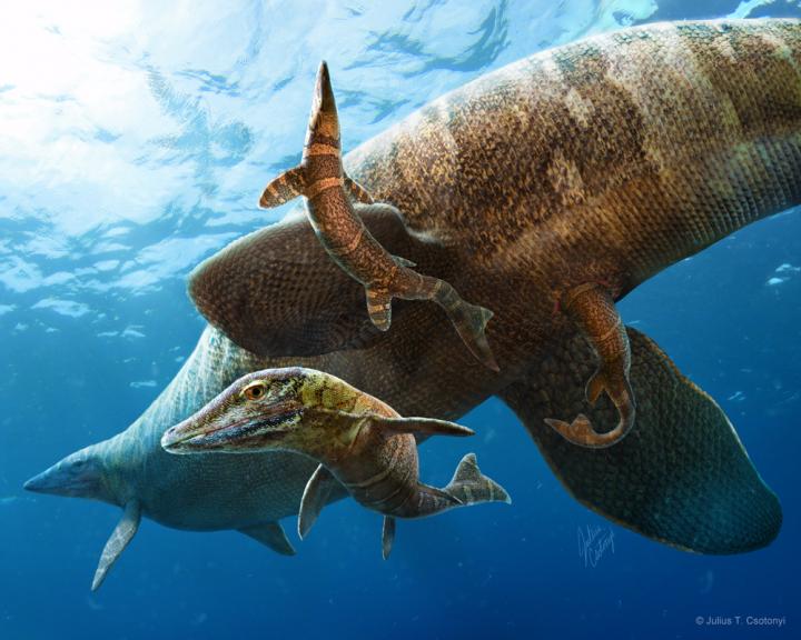 新研究显示6500万年前就已灭绝的沧龙可能在深海而非近海水域产仔