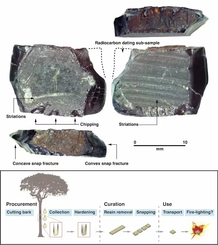 研究发现：至少55000年前，人类就生活在西巴布亚附近